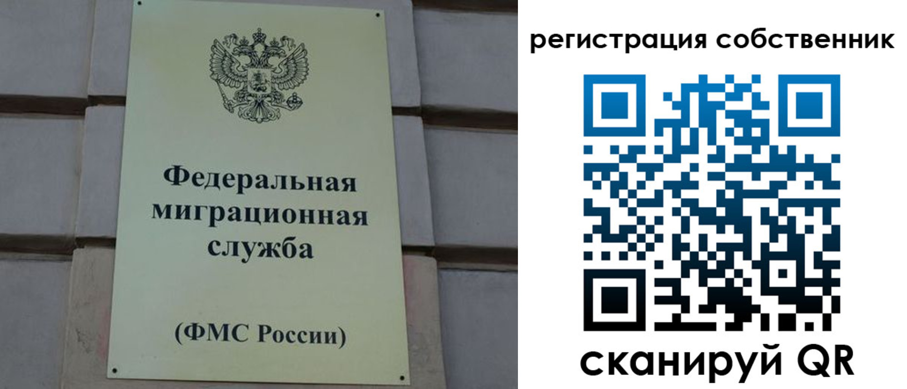 прописка гарантия в Ржеве